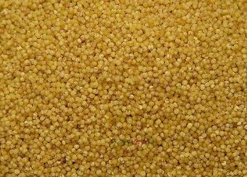 张家口市最具特色的美食是什么，一年四季春夏秋冬最好玩的地方是哪里？