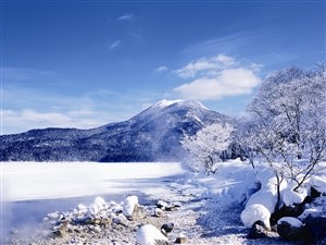 日本旅游攻略，什么时候去日本旅游最好最美