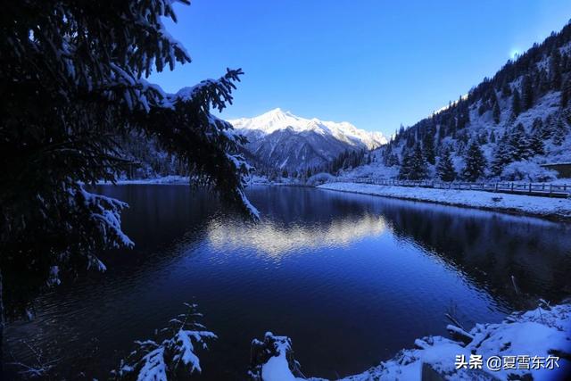 冬天旅游想去雪乡，有什么攻略推荐？