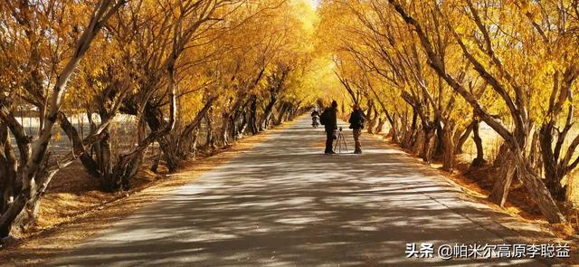 十月份自驾游去哪里景色优美？