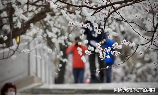 你觉得今年夏秋的国内旅游会怎么样？