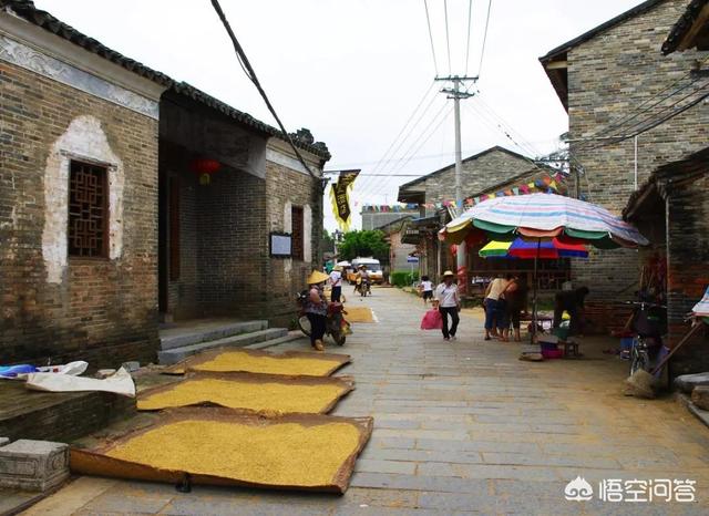 广西除了森林，还有什么地方好玩的吗？