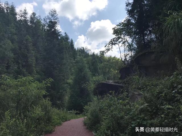 七八月份天气太热，哪座城市最适合夏季出游？