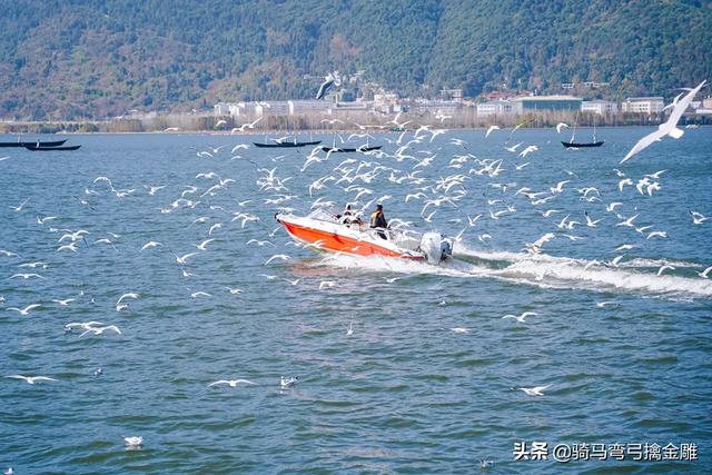 有没有过年准备出去旅游的？想去哪里？