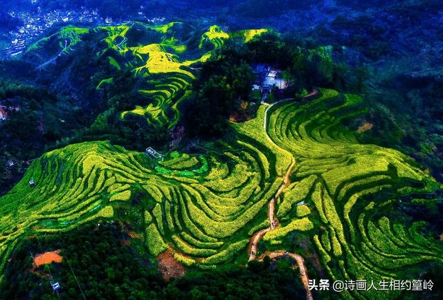 去婺源旅游有什么推荐的吗？