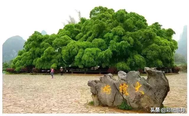 去桂林玩有什么旅游攻略？