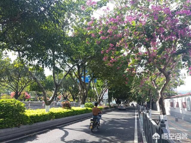 国内哪些地方景色好？