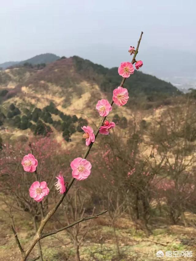宁波春节期间哪里好玩？