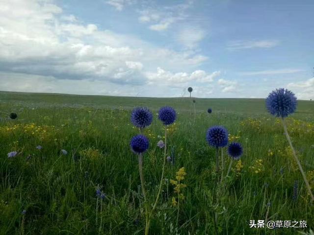 十一国庆节假期从山东济宁出发自驾游，求大神推荐一下精品线路好吗？
