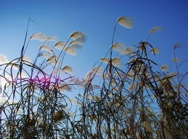 武汉4日游，应该去哪些地方才算真正的到过武汉？