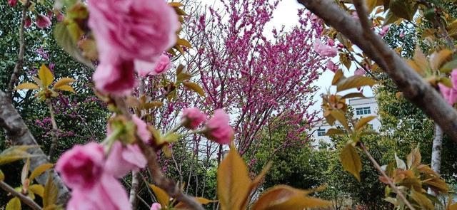 2020年夏天旅游，你还会选择呼伦贝尔大草原么？