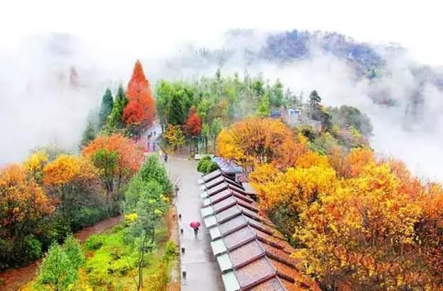 张家界的秋天美吗？有什么不错的旅游攻略？