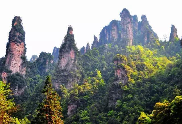 张家界的秋天美吗？有什么不错的旅游攻略？