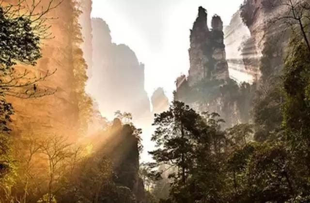 张家界的秋天美吗？有什么不错的旅游攻略？