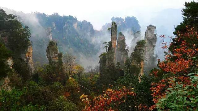 张家界的秋天美吗？有什么不错的旅游攻略？