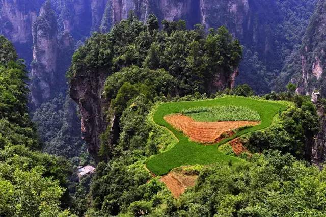 张家界的秋天美吗？有什么不错的旅游攻略？