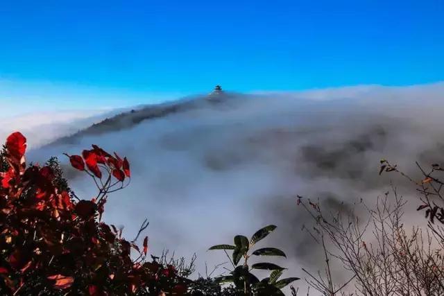张家界的秋天美吗？有什么不错的旅游攻略？