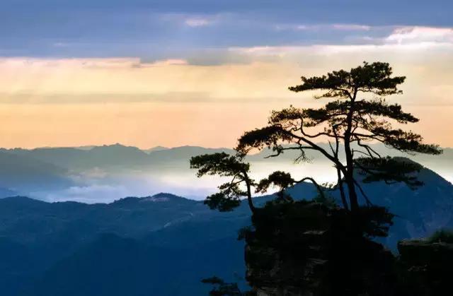 张家界的秋天美吗？有什么不错的旅游攻略？