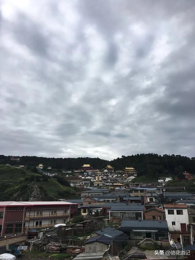 国内八月份旅游七至十天有什么好的推荐？