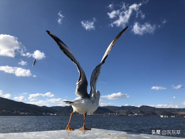 春节去云南旅游适合吗？