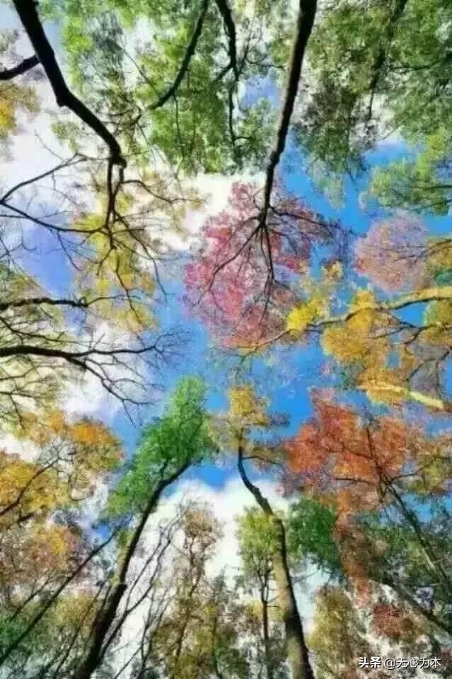 长白山的风景几月最佳？