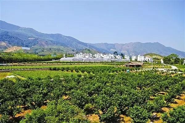 国庆出游，去广西旅游的话大家主要去哪些地方？