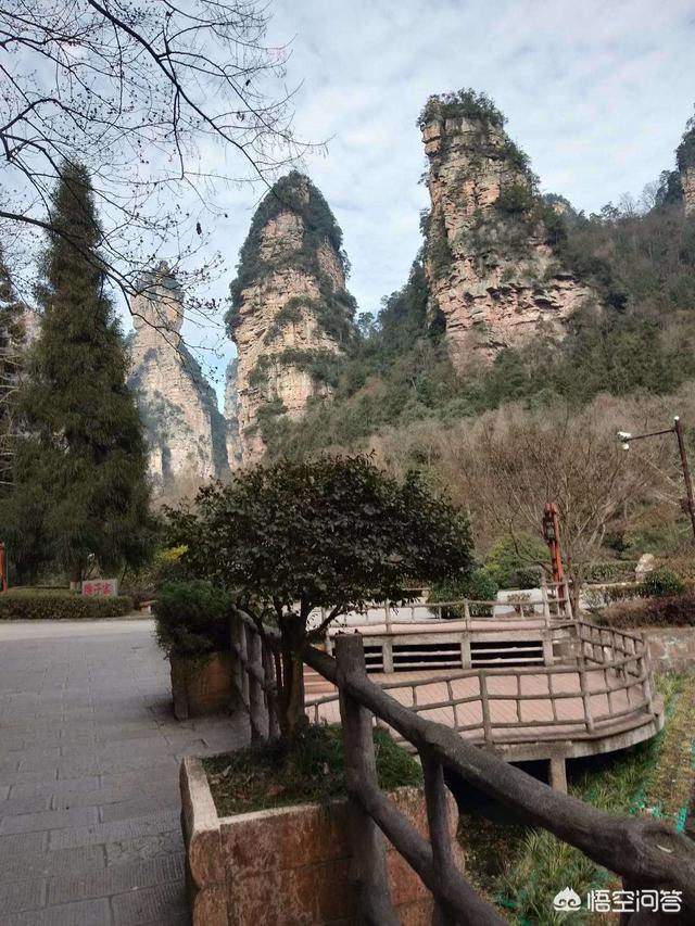 对于春节外出旅游你会选择去哪里？