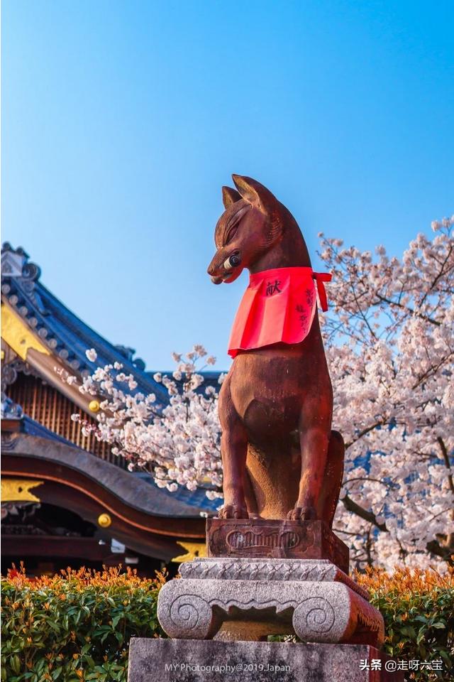 以前跟过团去日本旅游，这次想自由行，大家有什么值得推荐的攻略吗？