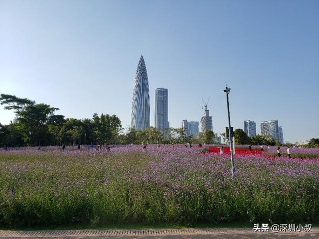 深圳打卡的好地方，求推荐？