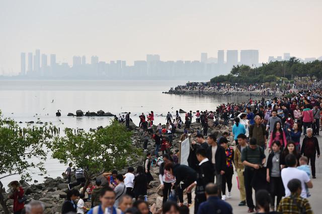 请问深圳有哪些著名的旅游景点，具体点大神帮帮忙？