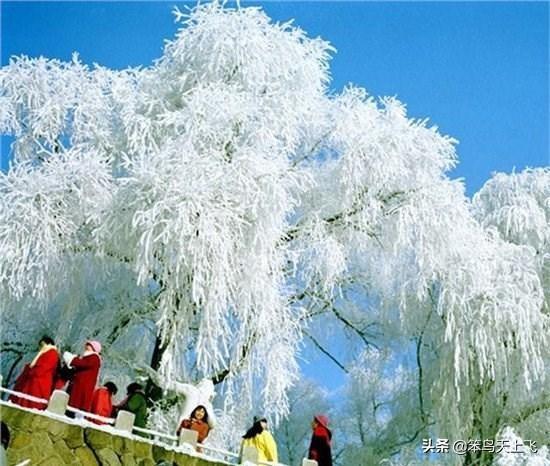 冬天适合自驾游的地方有哪些？