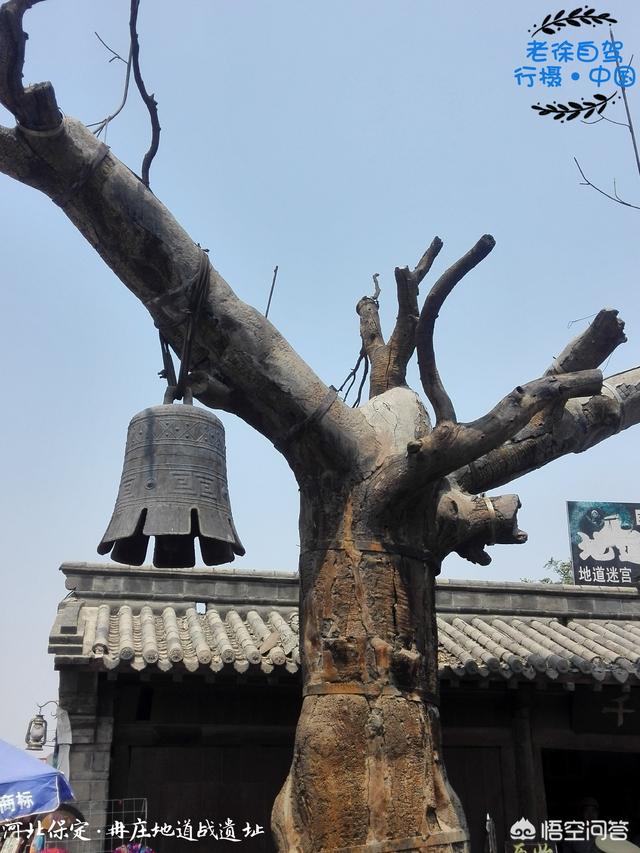 春节期间带老婆孩子从河北出发自驾游，去哪里玩比较好？