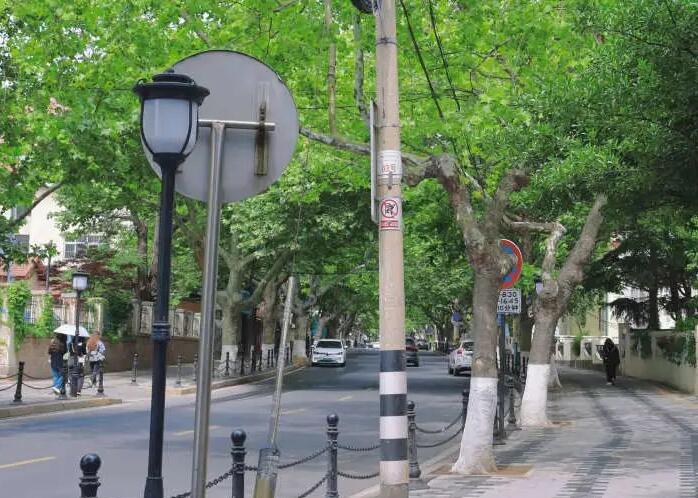 七八月份哪里凉快适合旅游：青岛、哈尔滨、青海湖